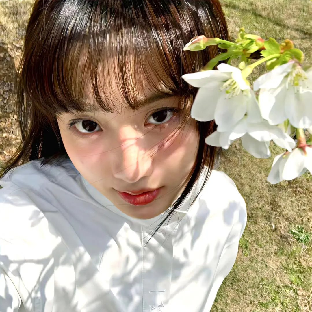 辛巴达与美人鱼公主